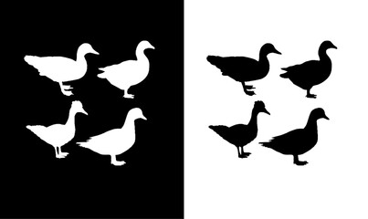 duck silhouette vector illustration, birds, bird, fly, hen, duck, black, silhouettes, silhouette, illustration, vector, design, wildlife, wild, pet, group, 