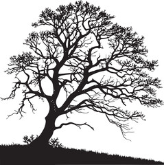 Pedunculate Oak tree silhouette vector illustration