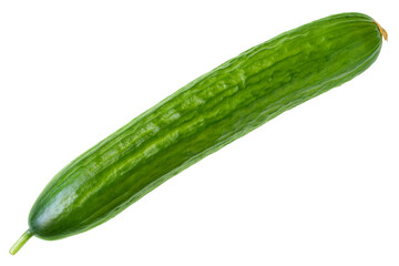 Smooth greenhouse cucumber isolated on white background. One fresh green cucumber close-up.
