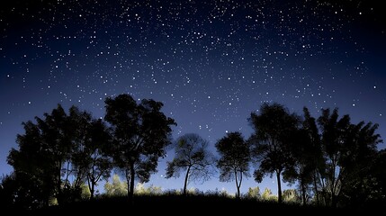 Fototapeta premium Enchanting night sky, silhouettes of trees under starlight tranquility