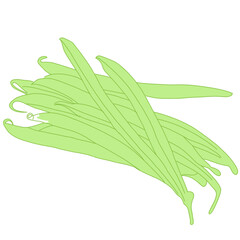 A digital illustration of fresh green beans (snap beans) piled together