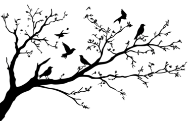 Black and white silhouette of tree branches with birds on them, transparent background