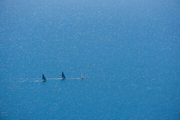 three sailboats sail on the blue sea, wallpaper