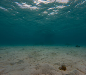 Empty sandy bottom of a lagoon in the south pacific 