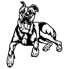 Cane Corso Dog Breed - Pet Vector Cut file, Dog Silhouette Stencil - Cricut file