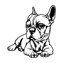 French Bulldog Dog Breed - Pet Vector Cut file, Dog Silhouette Stencil - Cricut file