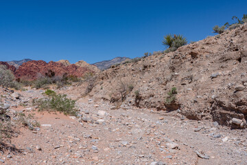 Gravelly basin fill alluvium, Calico Basin, Red Rock Canyon, Las Vegas, Clark County, Nevada. Mojave Desert.   dry stream bed / Intermittent, temporary or seasonal rivers. Fluvial terrace. gravel