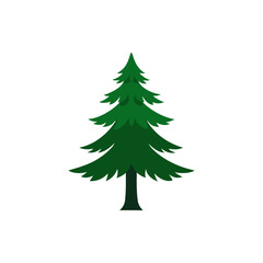 Pine Tree Silhouette isolated on transparent background