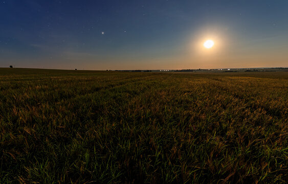 Serene rural landscape with golden wheat field under moonlight, scenic sunset creating a breathtaking view for travel blogs, inspirational posters, and calm nature backgrounds.