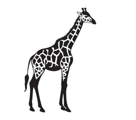 Obraz premium Giraffe silhouette clipart on a white background