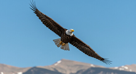 Naklejka premium Eagle soaring high with wings spread in flight over mountains