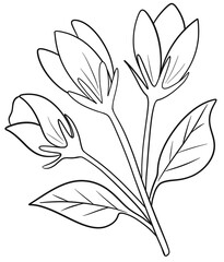 black and white flower