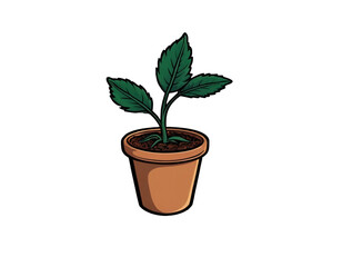 Fototapeta premium Plant