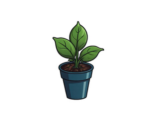 Plant