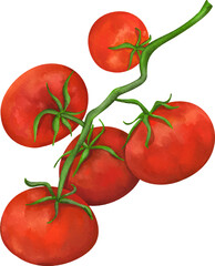 clip art cute watercolor illustration of red tomatoes with flower and leaf for background asset
