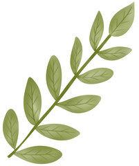 Naklejka premium green leaves isolated on white