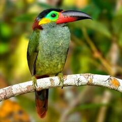 A colorful bird peacefully resting in nature, surrounded by trees, sunlight, and fresh greenery.

