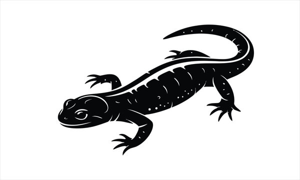 Hellbender Silhouette Illustration