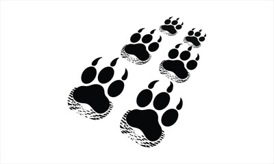  Bear Paw Prints Illustration