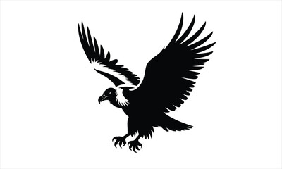 Obraz premium Vulture Silhouette Flying Descent