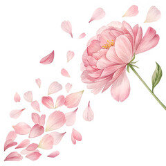 Naklejka premium Semi-transparent watercolor peony petals drifting gently in the breeze