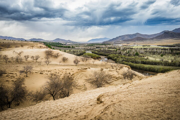 mongolian countryside 