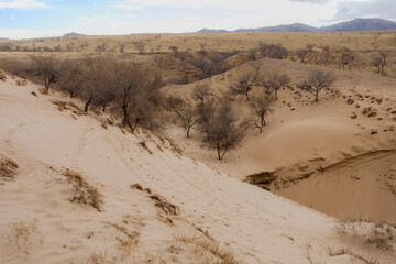 mongolian countryside 