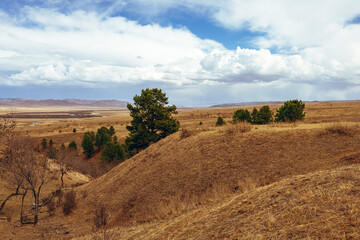 mongolian countryside 
