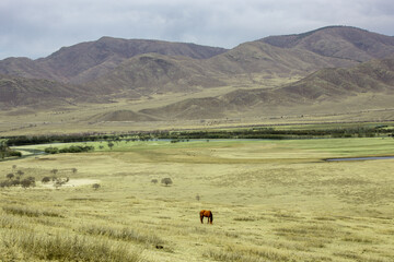 mongolian countryside