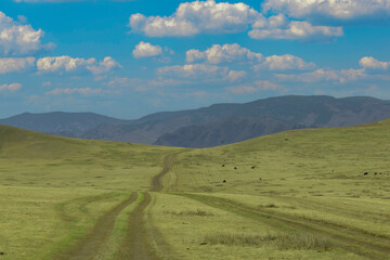 mongolian countryside