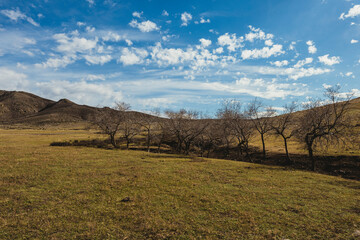 mongolian countryside