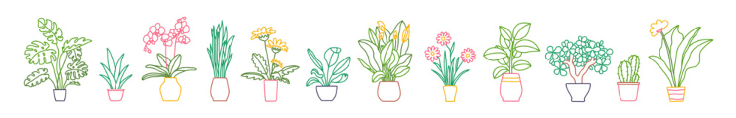 Indoor plant in a pot. Colorful sketch collecton. Vector doodle color illustration set. Monstera, philodendron, scarlet, orchid and snake plant. Gerbera, peace lily, chamomile, rubber and cactus