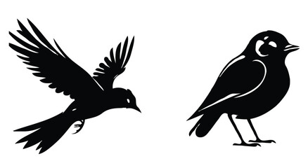 Fototapeta premium Two bird silhouettes