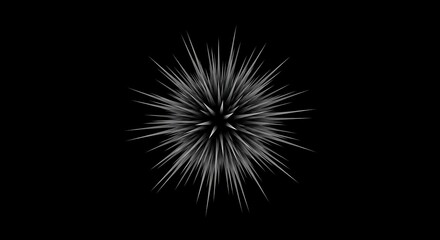 Fototapeta premium Abstract Spiky Ball on Black Background Graphic