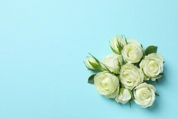 Beautiful white roses on color background, top view