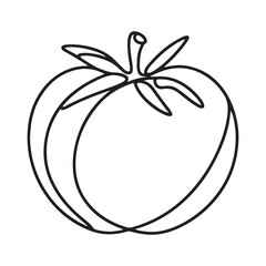 Fresh Organic Tomato Silhouette Vector Line Art Simple Illustration