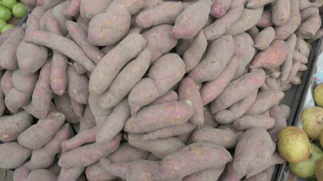 Prayagraj,India-6 January 2025 Sweet potatoes or Ipomoea batatas to sell in the market at Prayagraj or Allahabad Uttar Pradesh India South Asia