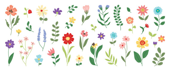 Collection of spring colorful flower elements vector. Set floral of wildflower, leaf branch, foliage on white background. Hand drawn blossom illustration for decor, easter, thanksgiving, clipart.