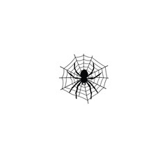 Fototapeta premium Spider on web silhouette on white background