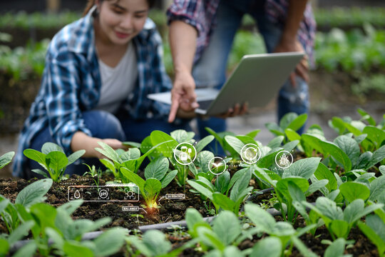 Organic vegetables with futuristic digital interface icons for smart farming and data analysis