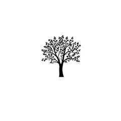 Obraz premium Tree silhouette on white background