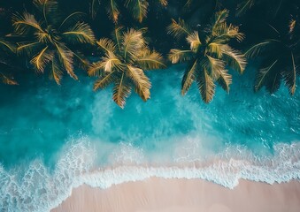 Tropical Beach Aerial View
