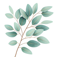 Naklejka premium Transparent PNG of a dried eucalyptus branch with muted, earthy tones