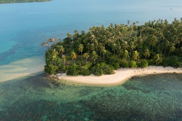 Tropical Island Paradise with Palm Trees and Turquoise Water