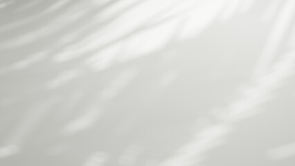 a minimalist white room with strong natural light casting distinct shadows. empty bright room wall, free space, background, copy space, design