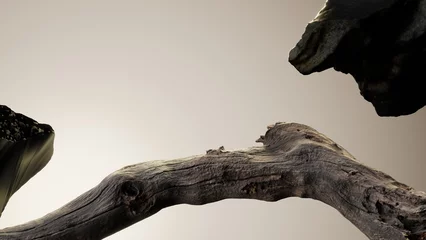 Striking driftwood sculpture resting on a neutral colored surface © denis
