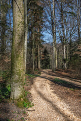 paysage de l'Aubonne rivière sauvage