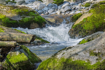 paysage de l'Aubonne rivière sauvage