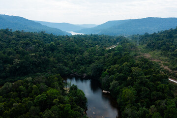 Tropical Forest River Landscape