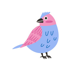 Spring bird illustration